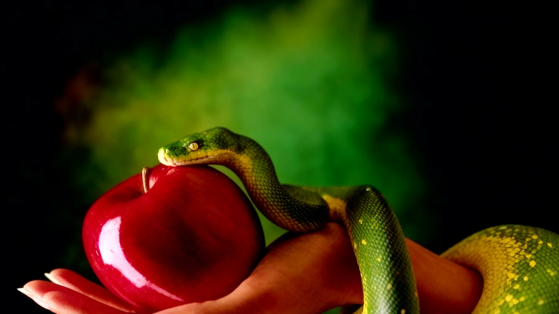 Forbidden Fruit2025-12-16T13:29:21.117Z"