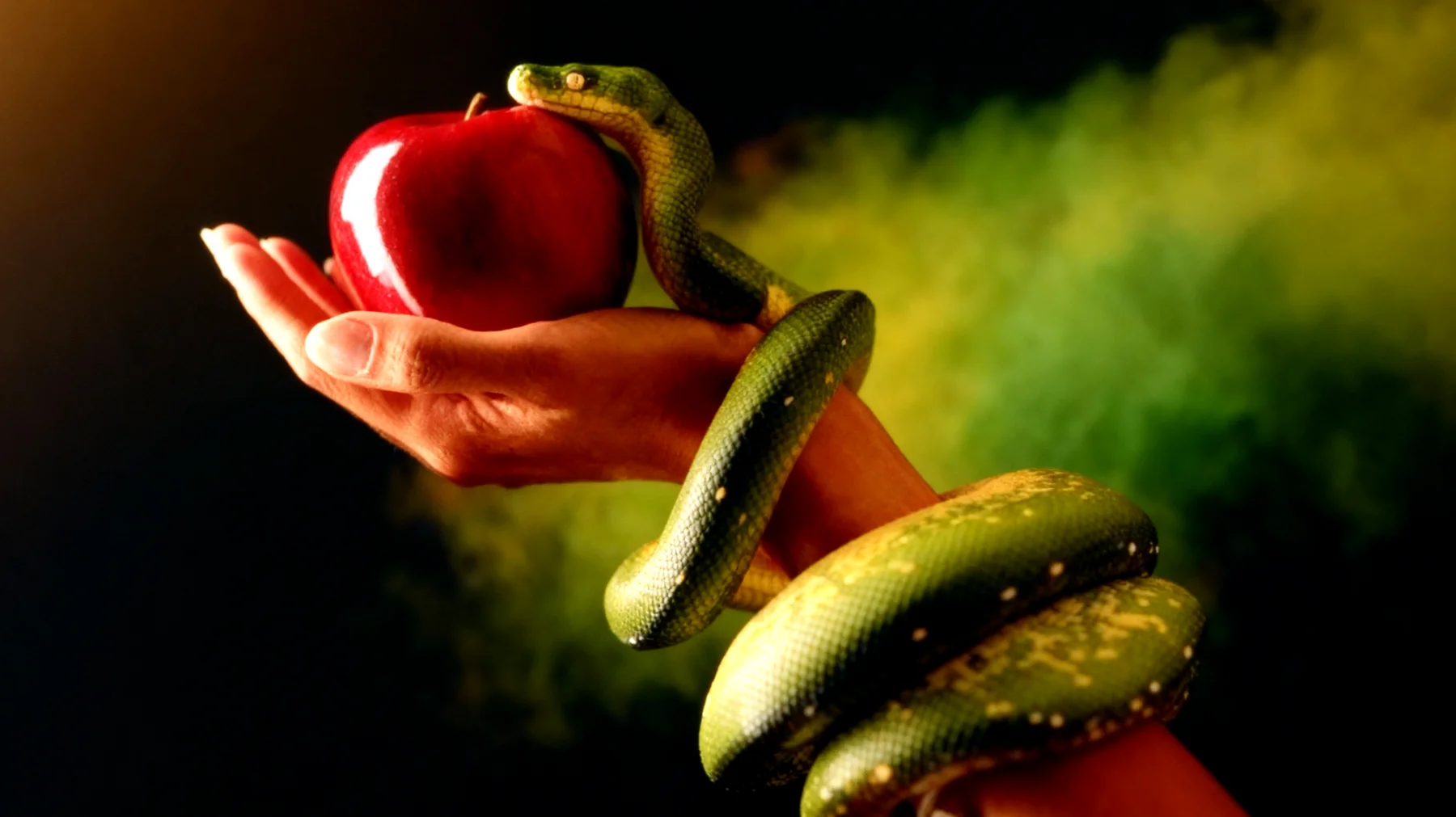 Forbidden Fruit2025-12-17T18:59:56.936Z"