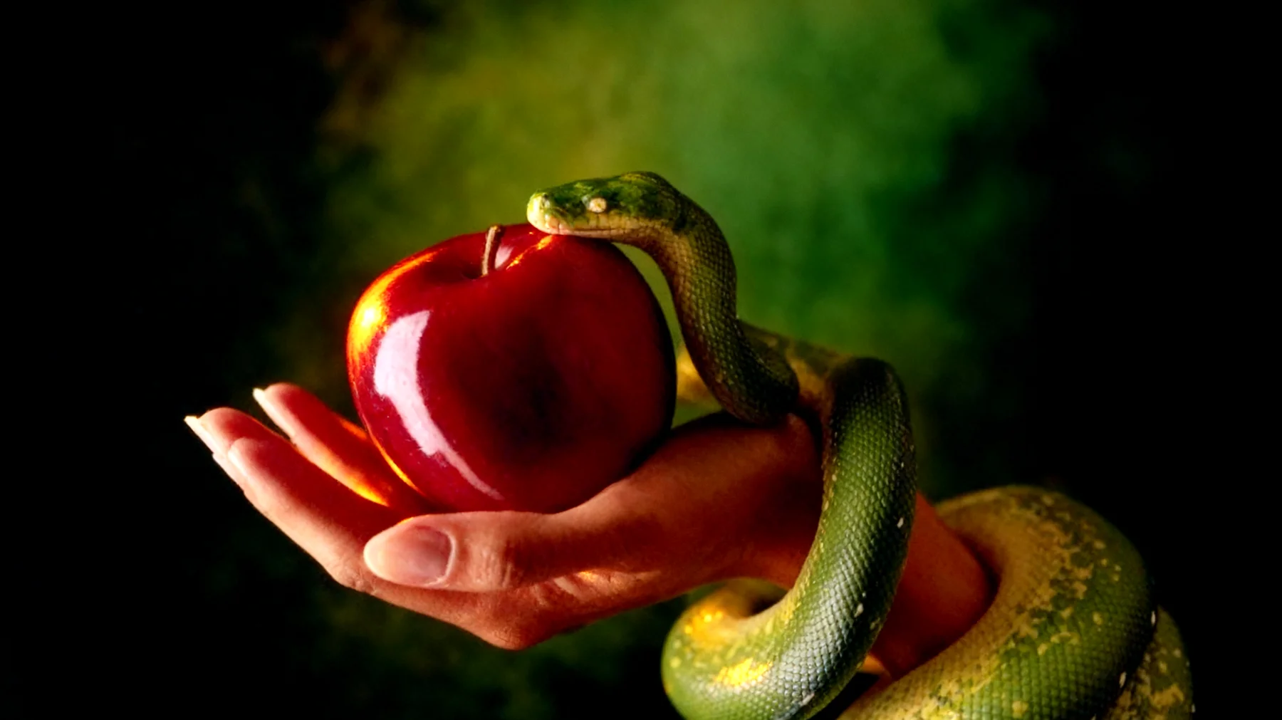 Forbidden Fruit2025-12-20T18:53:38.624Z"