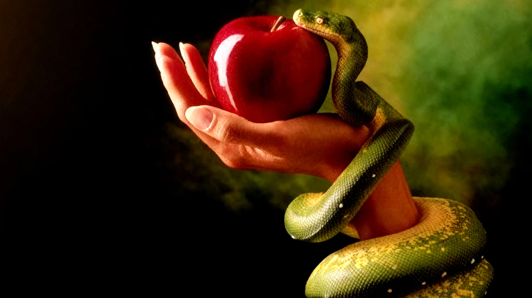 Forbidden Fruit2025-12-29T18:55:20.248Z"