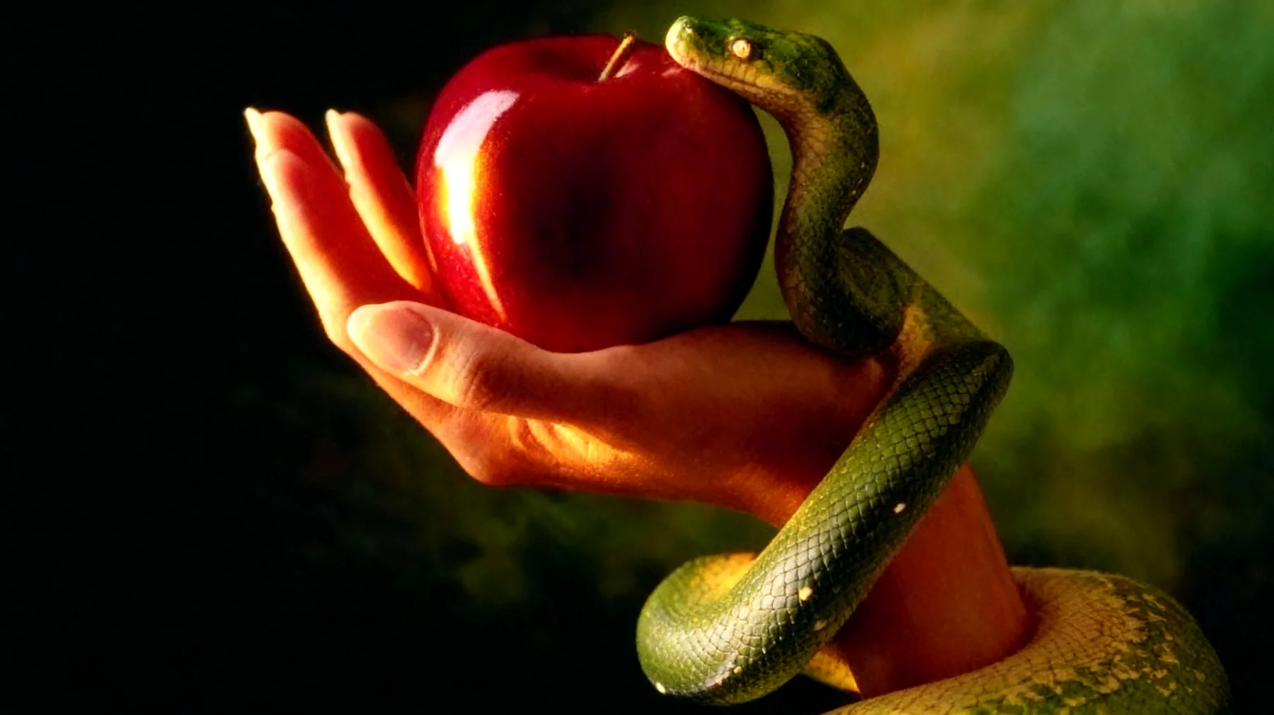 Forbidden Fruit2025-12-30T18:53:22.629Z"