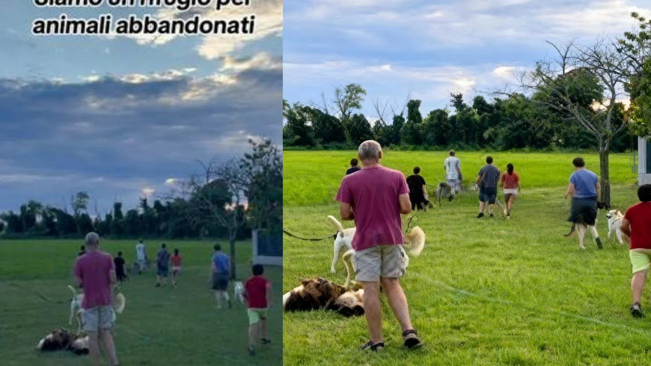 Il Gruppo Ambiente è un rifugio per cani e gatti in difficoltà che hanno vissuto l'abbandono o che sono stati trovati soli sul territorio. Dal 1988 accogliamo e ci prendiamo cura di loro ogni giorno, con amore e dedizione, fino a quando non trovano una famiglia pronta ad amarli per sempre🐾 🐶A breve vi faremo conoscere i nostri ospiti a 4 zampe. Nel frattempo potete seguirci e condividere la pagina 🐈 📦Vuoi aiutarci? 👉🏼Puoi donare qualcosa di cui abbiamo bisogno acquistando attraverso la nostra lista amazon: https://amzn.to/3EBHisK 👉🏼Puoi donare tramite bonifico detraibile al seguente IBAN: IT47O0306964634100000001672 (Intestatario: Gruppo Ambiente Odv) 👉🏼Puoi donare il tuo 5x1000 al Codice Fiscale: 90005510319 👉🏼Puoi donare a distanza un cane o un gatto, per aiutarci a sostenere il costo del cibo e delle spese mediche; inoltre potrai ricevere periodicamente sue foto e notizie!! 🐾Ogni aiuto, anche il più piccolo, per noi é prezioso. Grazie di cuore per il vostro supporto ❤️ Per qualsiasi informazione non esitate a contattarci su qualsiasi nostro social! #fyp #perte #dogsandcats #rifugioanimali #dogshelter"