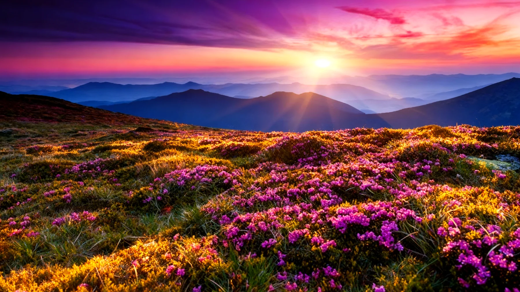 Beautiful 2026-01-28T22:32:00.416Z"