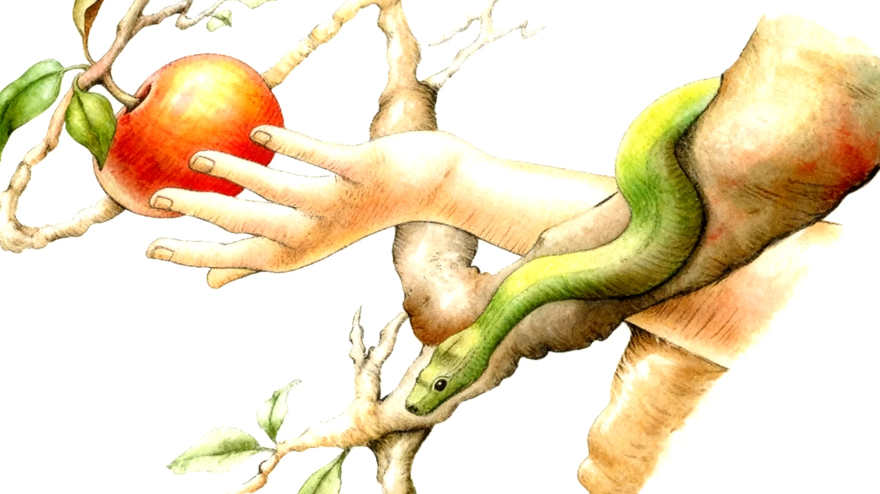 Forbidden Fruit2026-01-03T18:48:56.691Z"