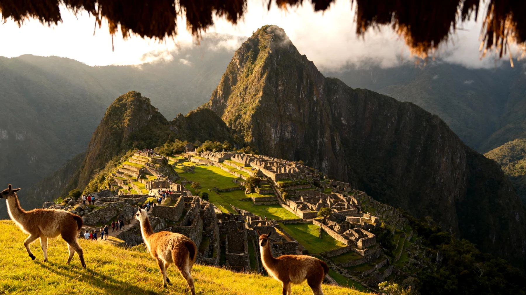 Machu Picchu"