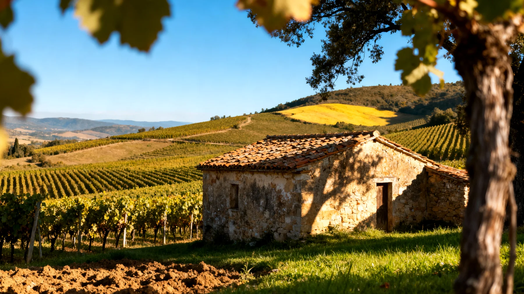 Valle del Colchagua"