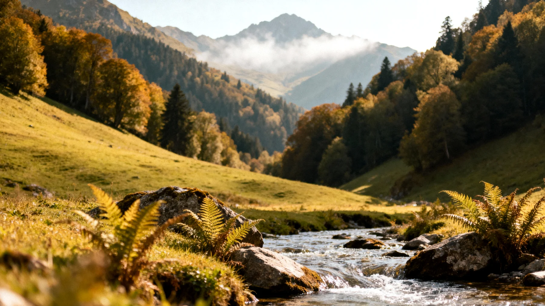 Parco Nazionale di Lagodekhi"